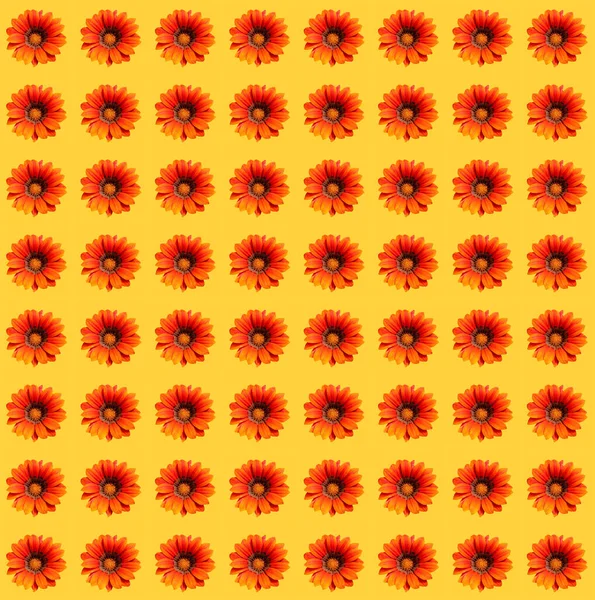 Streszczenie Współczesna Sztuka Cyfrowa Projekt Papieru Pakowania Kwiatowego — Zdjęcie stockowe
