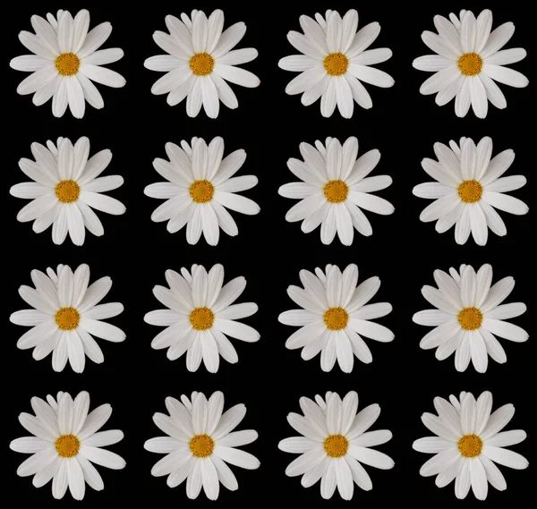 Abstract Hedendaagse Digitale Kunst Florale Verpakking Papier Ontwerp — Stockfoto