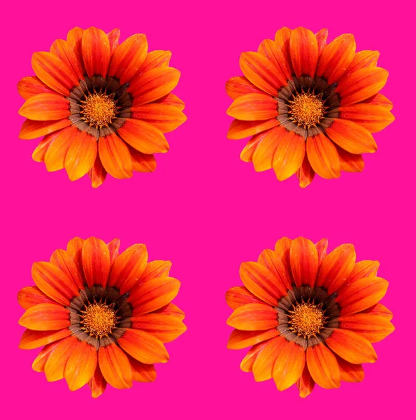 Abstract Hedendaagse Digitale Kunst Bloemen Wenskaart Ontwerp — Stockfoto