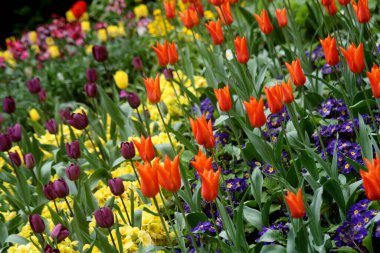 Soyut çiçek bahçesi sahnesi