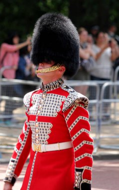 İngiliz muhafız Londra İngiltere