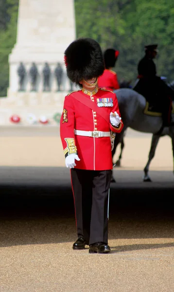 Abstract British Guardsman London Scene — Stock Photo, Image