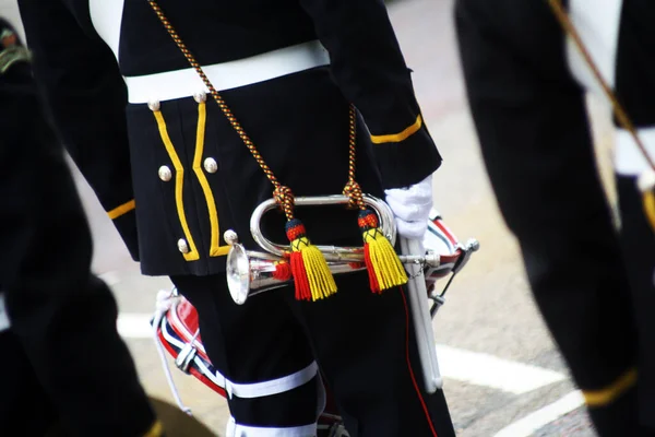 Royal Marines Band Service Londres Angleterre — Photo