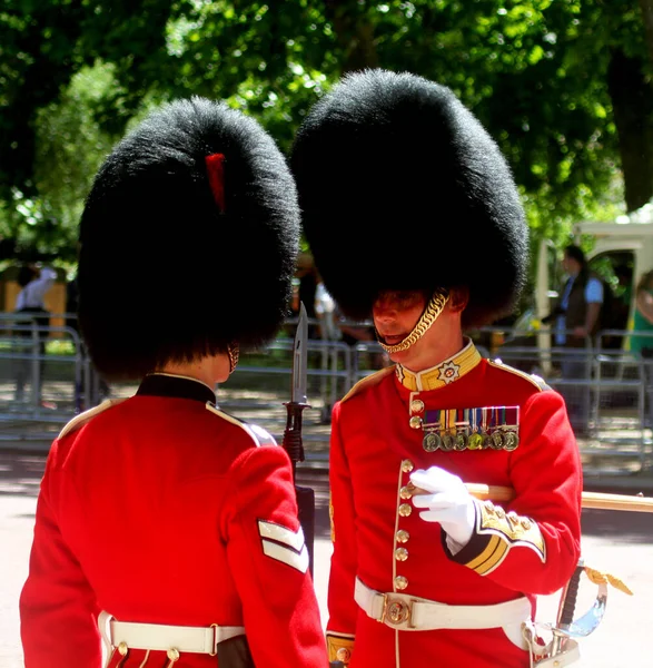 Brit Gárdisták London Anglia — Stock Fotó
