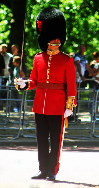 Brittiska Gardister London England — Stockfoto