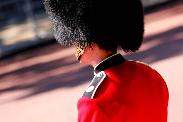 Sammanfattning British Guardsman London England — Stockfoto