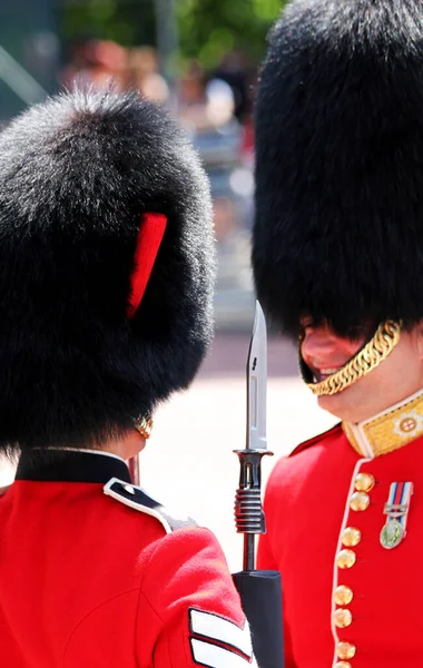 Brittiska Gardister Trooping Colour London England — Stockfoto