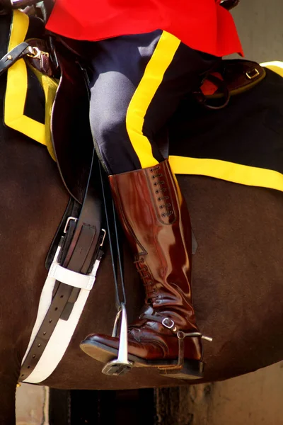Royal Canadian Mounted Policeman — Stock fotografie
