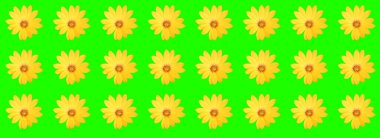 çiçek tebrik kartı tasarımı