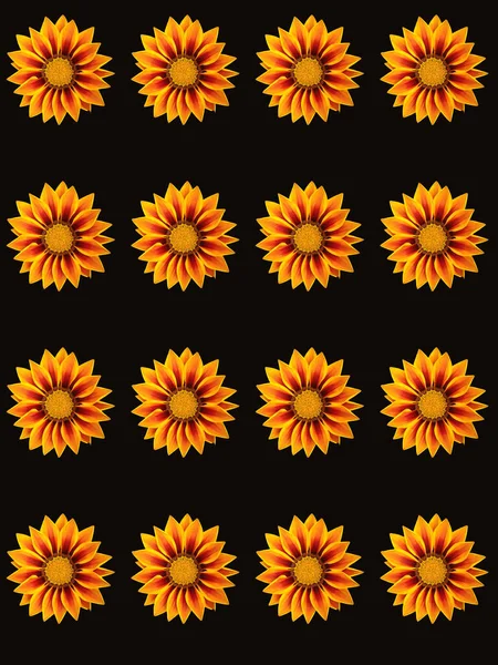 Ontwerp Van Floral Wapping Papier — Stockfoto