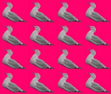 Soyut martı ambalaj kağıdı tasarımı