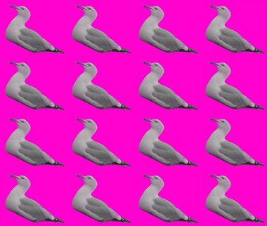 Soyut martı ambalaj kağıdı tasarımı