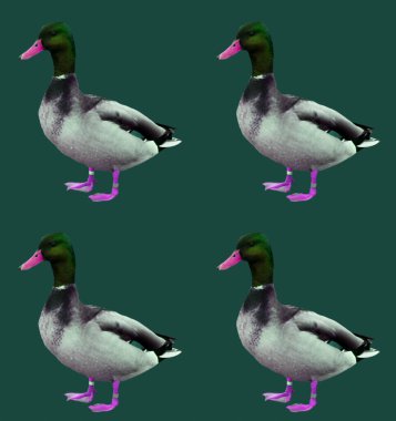 Soyut retro ördekler tebrik kartı tasarımı