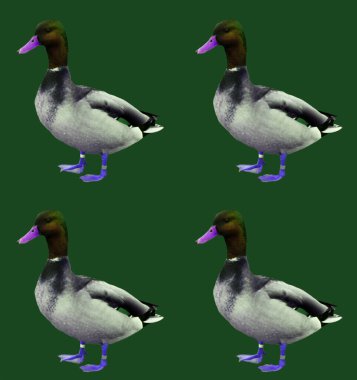 Soyut retro ördekler tebrik kartı tasarımı