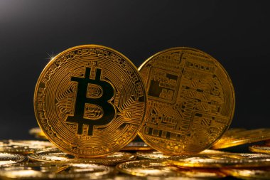 Bitcoin BTC Kripto Para Birimi. Teknoloji için Altın Para
