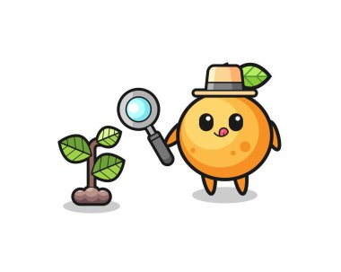 Şirin bir portakal sebzecisi bitkileri araştırıyor, şirin bir tasarım.