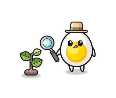 Şirin haşlanmış yumurta şifalı bitkileri araştıran tatlı bir tasarımcı.