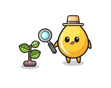 Şirin bir bal damlası bitki araştırmacısı, şirin bir tasarım.