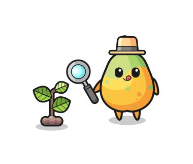 cute papaya herbalist researching a plants , cute design