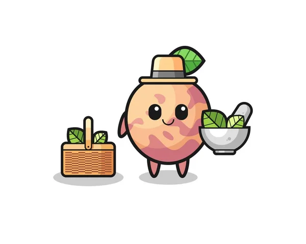 Pluot Fruit Herbalist Cute Cartoon Cute Design — Wektor stockowy