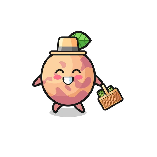 Pluot Fruit Herbalist Character Searching Herbal Cute Design — Stockový vektor