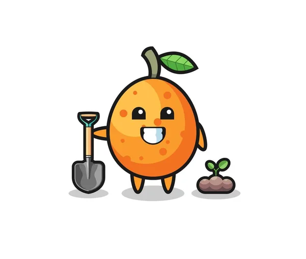การ Kumquat งปล กเมล นไม การออกแบบท — ภาพเวกเตอร์สต็อก