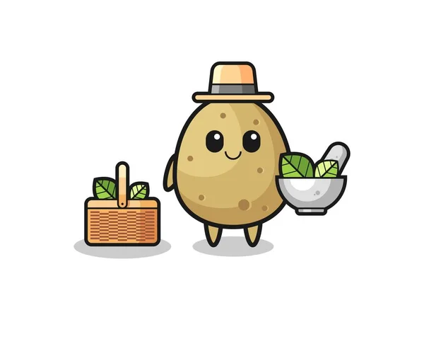 Potato Herbalist Cute Cartoon Cute Design — Stockvektor
