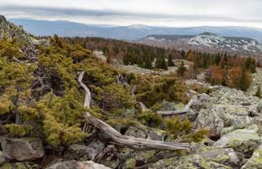 Dağın tepesinden sonbahar manzarası.