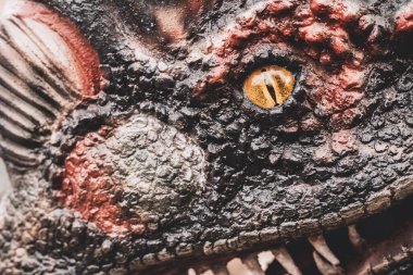 Dinozorların sarı gözleri dehşet vericiydi. Dinazor avcıları korkunç sarı gözlerle bakıyorlar. Dinozor gözü.