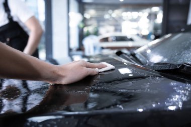 Mechanic with transparent film, car paint protection. Mechanic installs car paint protection film. Install car paint protection film. Car wrap concept.