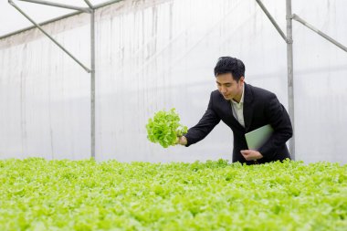 İşadamları çiftlikteki organik sebzelerin kaliteli raporlarını inceleyip kaydediyorlar. Çiftlikteki sebzeleri kontrol ediyor..