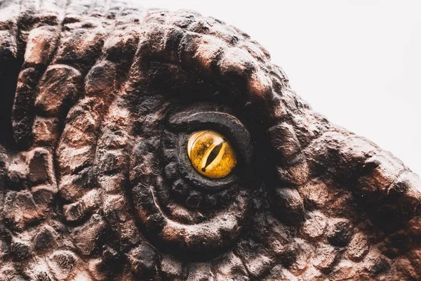 Closeup yellow eye of the dinosaurs with terrifying. Dinosaur hunters are staring with horrible yellow eye. Dinosaur eye.