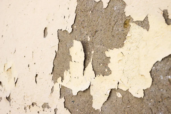 Wall paint peeling off due to moisture — Stock Photo, Image