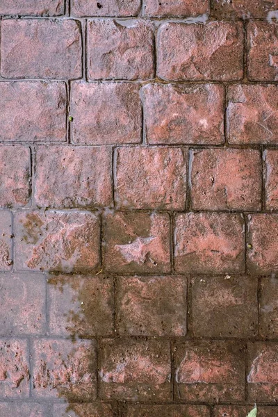 Wet stamped concrete pavement floor after rain, waterproof outdoor coating, cement cobblestone pattern decorative pavement — стоковое фото