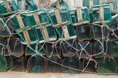 Asturias İspanya 'da tuzaklarla balık avlamak, ahtapot ve kabuklu deniz hayvanı yakalamak