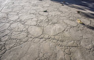 Dışarıdaki beton kaldırım, düz kayalar ve yuvarlak kenarlar taş desenleri, döşeme döşemeleri, dekoratif beton kaldırımlar.