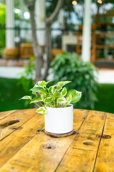 Çiçek süslemeli benekli beşik masanın üstünde.