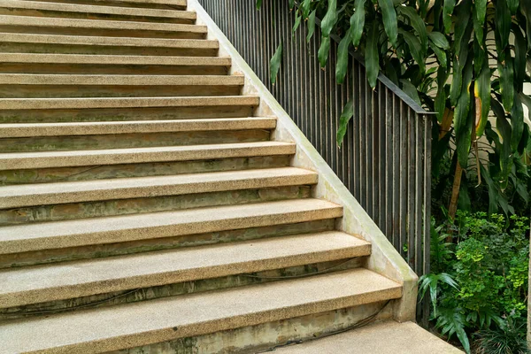 园中有热带树木的楼梯 — 图库照片