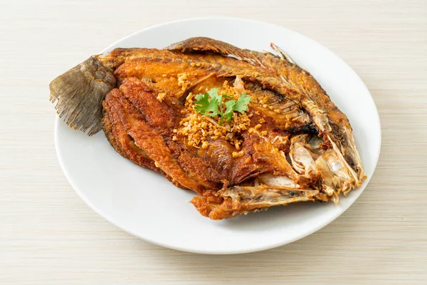 Ikan Ikan Ikan Ikan Ikan Ikan Ikan Ikan Ikan Ikan — Stok Foto