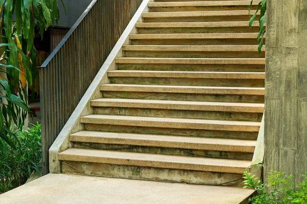Escalier Étape Avec Arbre Tropical Dans Jardin — Photo