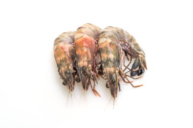 Beyaz arka planda izole edilmiş taze kaplan karidesi veya karides
