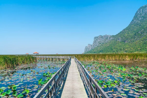 Beautiful Wood Walk Way Sam Roi Yot Freshwater Marsh Bueng — Stockfoto