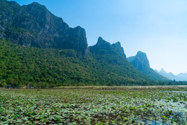 Sam Roi Yot Tatlı Su Bataklığı veya Bueng Bua Khao Sam Roi Yot Ulusal Parkı Tayland