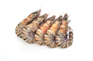 Beyaz arka planda izole edilmiş taze kaplan karidesi veya karides