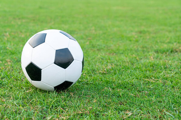 Soccer ball on the football field  background with copy space