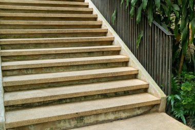 Bahçede tropikal ağaçla merdivenler.