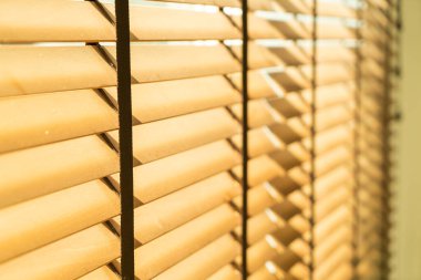 yakın çekim bambu perdesi, bambu perdesi, civciv, Venedik körü ya da güneş körü - yumuşak odak noktası