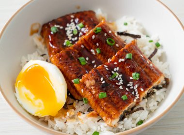 Yılan balığı pirinç kasesi veya unagi pirinç kasesi - Japon yemek tarzı.