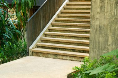 Bahçede tropikal ağaçla merdivenler.