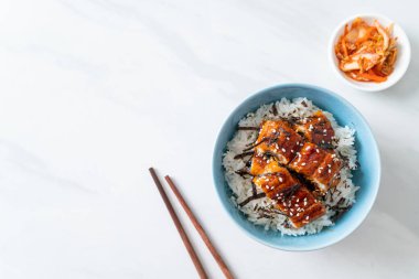 Yılan balığı pirinç kasesi veya unagi pirinç kasesi - Japon yemek tarzı.